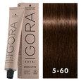 Igora Royal Absolutes 5-60 Medium Brown Choco Natural 2oz