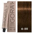 Igora Royal Absolutes 6-50 Light Brown Gold Natural 2oz