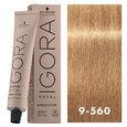 Igora Royal Absolutes 9-560 Age Blend Extra Light Blonde 2oz